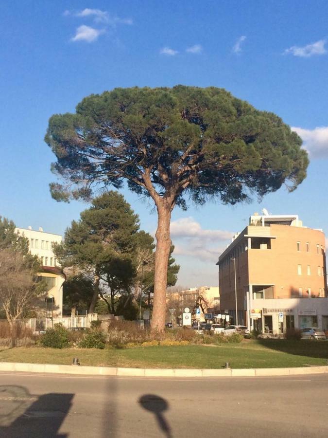 מטרה Residence Al Pino מראה חיצוני תמונה